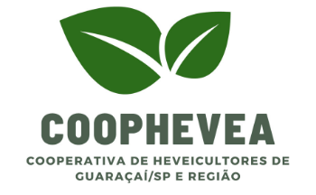 cooperativa